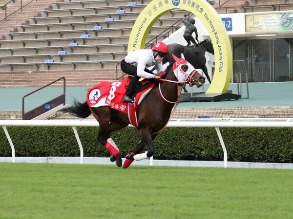 香港カップに出走するパンサラッサ