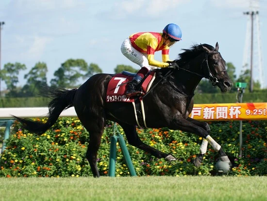 有馬記念での一発が期待されるジャスティンパレス