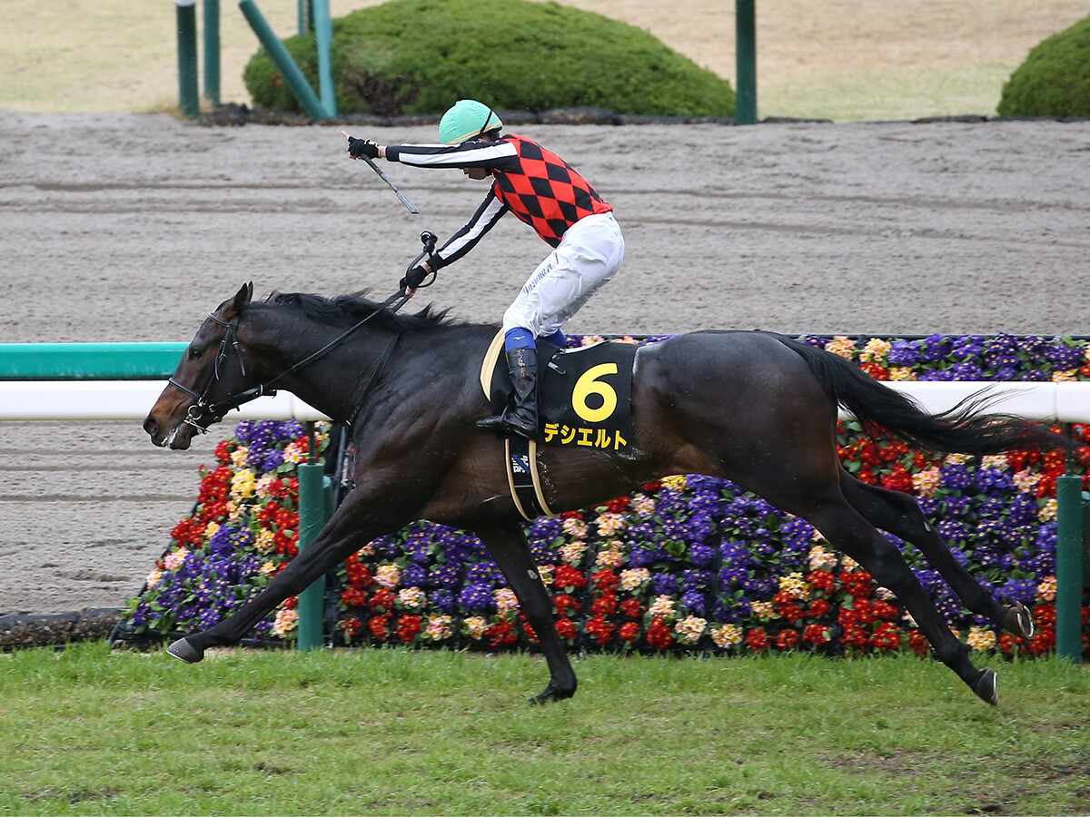 「無敗の2億7000万円馬」が皐月賞に挑む。芝コースは2戦目も、「日本を代表する名牝系」の血は信頼度抜群