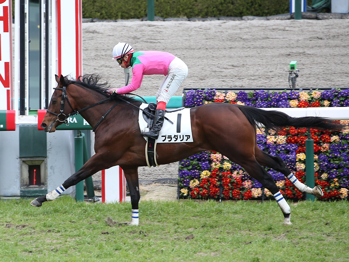 菊花賞はセントライト記念組が有力も、神戸新聞杯惨敗で人気が急落した素質馬の逆襲に要注意