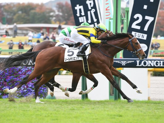 京成杯での勝ち負けが期待されるソールオリエンス