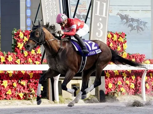 ３年連続のフェブラリーＳ参戦となるレッドルゼル