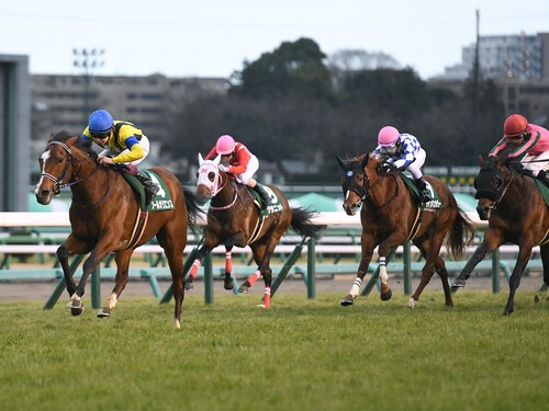 京成杯で強い競馬を見せたソールオリエンス（写真左、青帽）