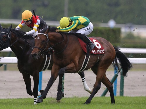 京都新聞杯を勝ってダービーに挑むサトノグランツ