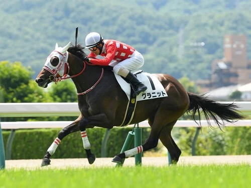 ラジオNIKKEI賞での大駆けが期待されるグラニット