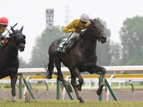 タフなレースで躍進が見込めるカラテ
