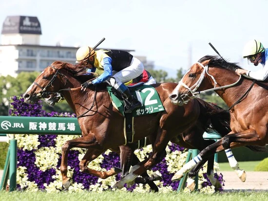 京都大賞典での勝ち負けが期待されるボッケリーニ