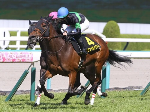 秋華賞での一発が期待されるグランベルナデット