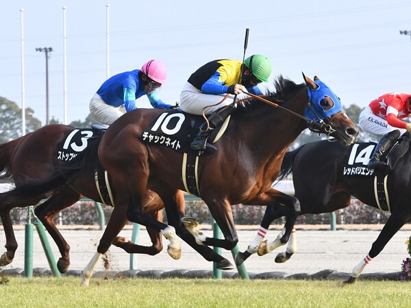 重賞レース初出走となるチャックネイト photo by 東京スポーツ/アフロ