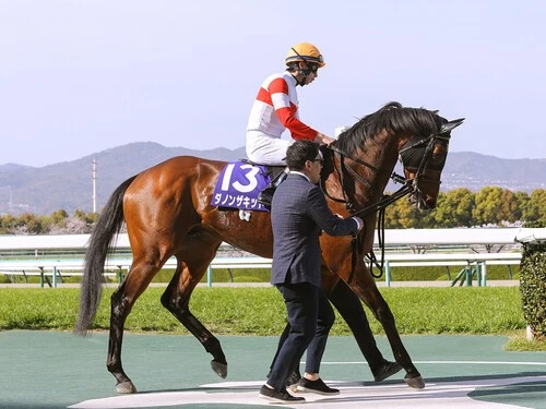 マイルCSでの一発が期待されるダノンザキッド。photo by Eiichi Yamane/AFLO