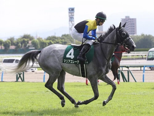 エリザベス女王杯での大駆けが期待されるマリアエレーナ。photo by Eiichi Yamane/AFLO
