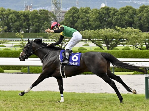 ラストランとなる有馬記念では展開面で恩恵を受けそうなタイトルホルダー。photo by Kyodo New