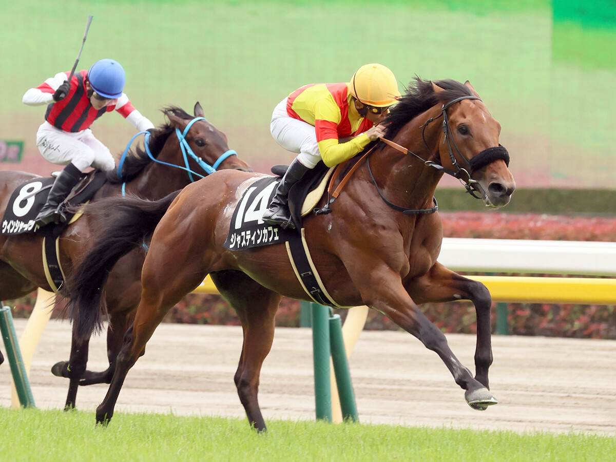 東京新聞杯の本命は「芝1600m」に強いエピファネイア産駒。名マイラーの血を引く牝馬にも好走の気配
