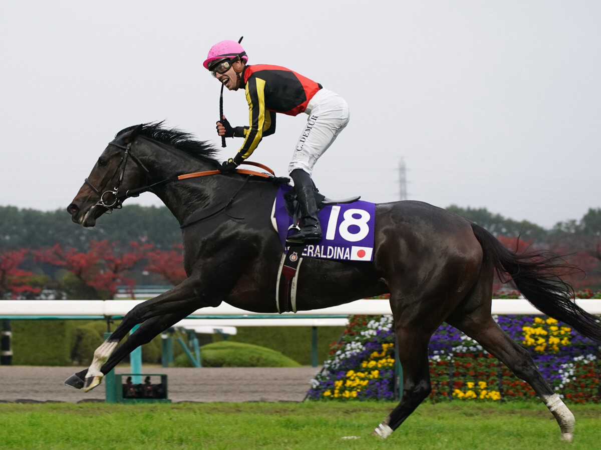 宝塚記念は5歳牝馬の2頭が推し 2200mのスペシャリスト、レースと縁深い「格下馬」に注目