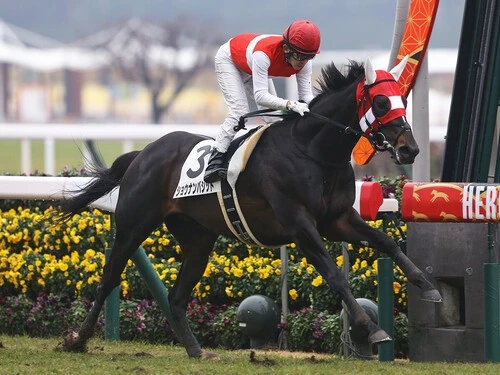 AJCCでの大駆けが見込まれるショウナンバシット。photo by Eiichi Yamane/AFLO