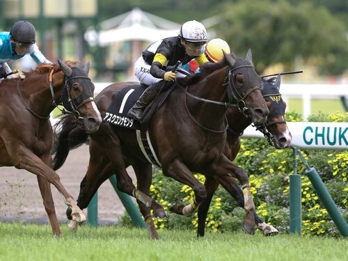 東京新聞杯での一発が期待されるアスクコンナモンダ。photo by Eiichi Yamane/AFLO