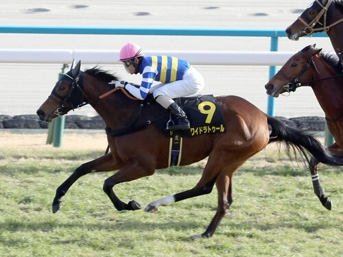 桜花賞での大駆けが期待されるワイドラトゥール　photo by Sankei Visual