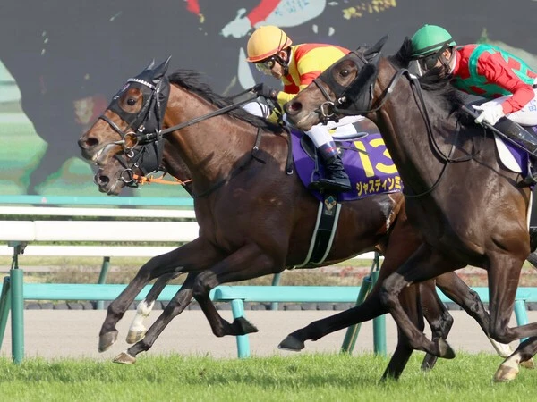 皐月賞馬ジャスティンミラノが本命になりそうだが......　photo by 東京スポーツ/アフロ