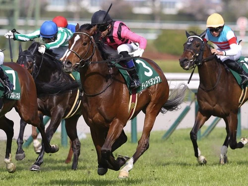 NHKマイルＣでの一発が期待されるディスペランツァ。photo by Eiichi Yamane/AFLO