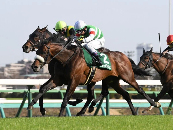 前走のダービー卿チャレンジトロフィーを勝利したパラレルヴィジョン photo by Sankei Visual
