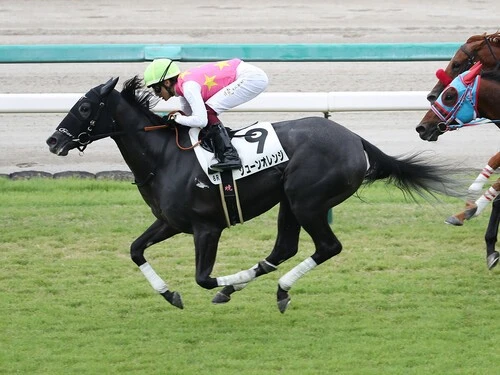 マーメイドSでの大駆けが期待されるジューンオレンジ　photo by Sankei Visual