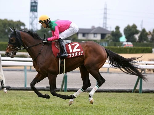 宝塚記念での大駆けが期待されるプラダリア　photo by Eiichi Yamane/AFLO