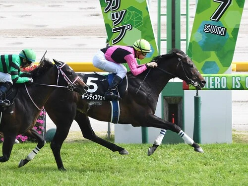 七夕賞での大駆けが期待されるボーンディスウェイ　photo by Sankei Visual