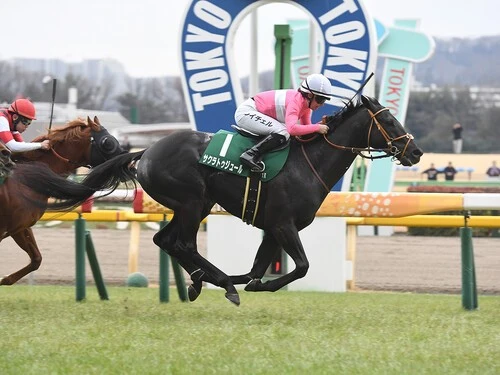 関屋記念での大駆けが期待されるサクラトゥジュール　photo by Sankei Visual