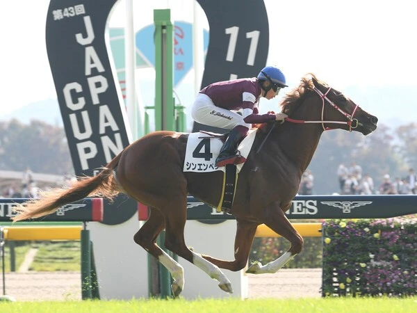 日本調教馬の初勝利を目指すシンエンペラー　photo by Sankei Visual