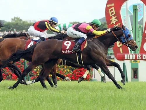 競馬予想】ジャパンカップはキレ味勝負 超ド級の穴馬が高額配当