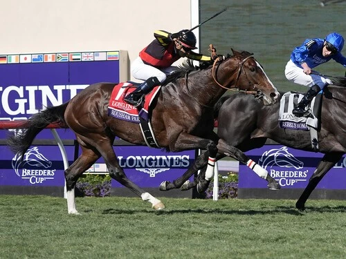 ブリーダーズカップターフで２着と奮闘したローシャムパーク　photo by AP/AFLO