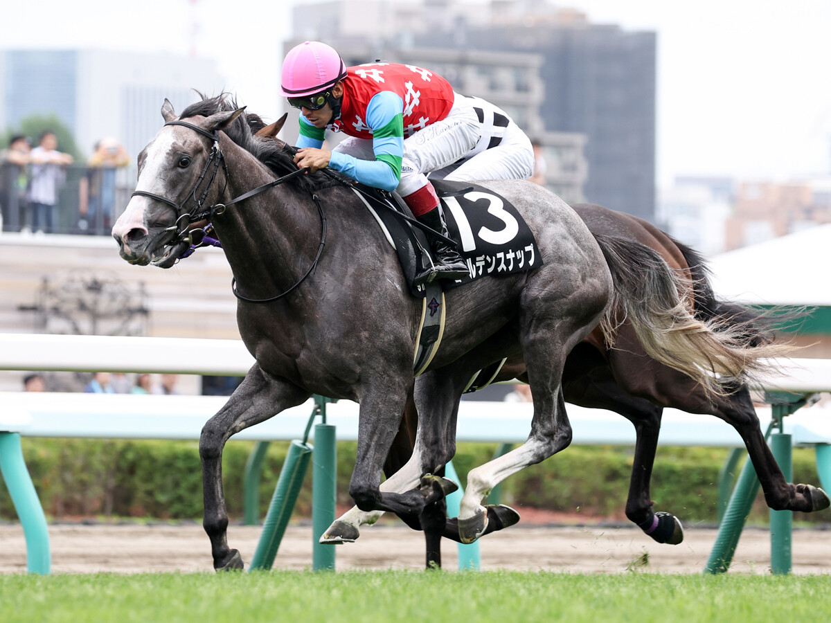 阪神大賞典は「ステイゴールド系」が強い 天皇賞・春のステップレースは格下馬に期待