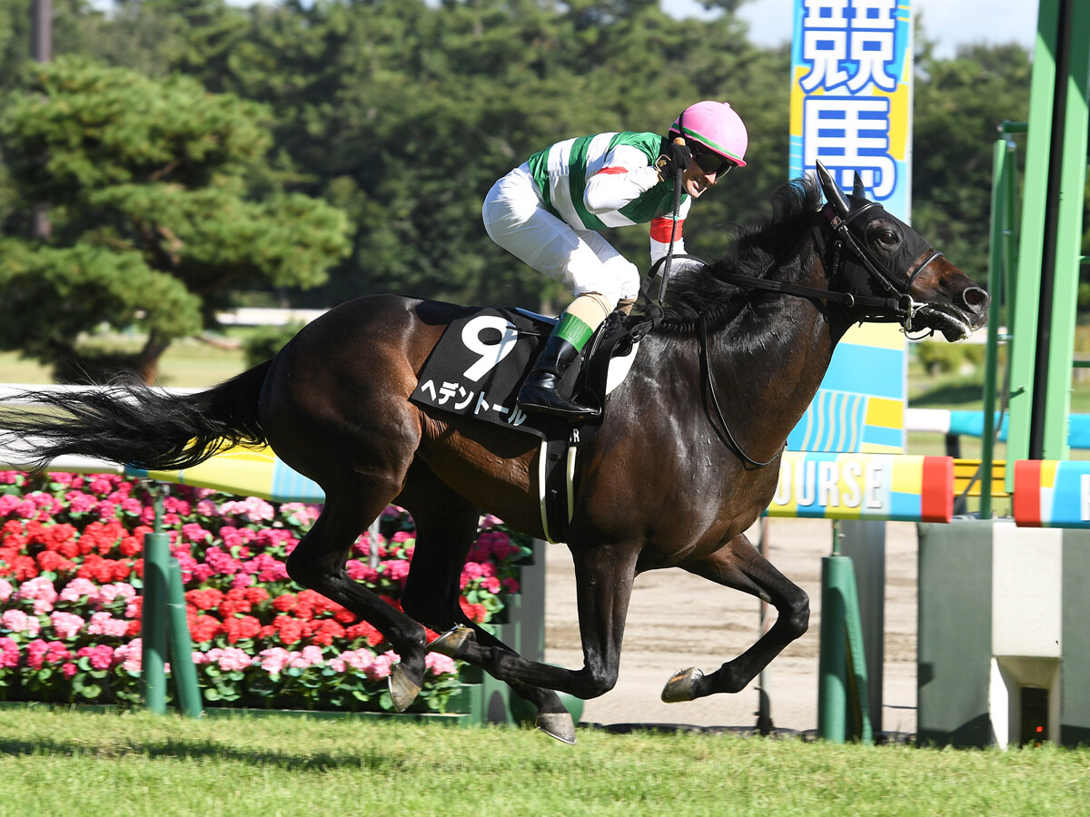 【競馬血統予想】菊花賞で注目はキングカメハメハ系　過去10年のデータから穴馬２頭をピックアップ