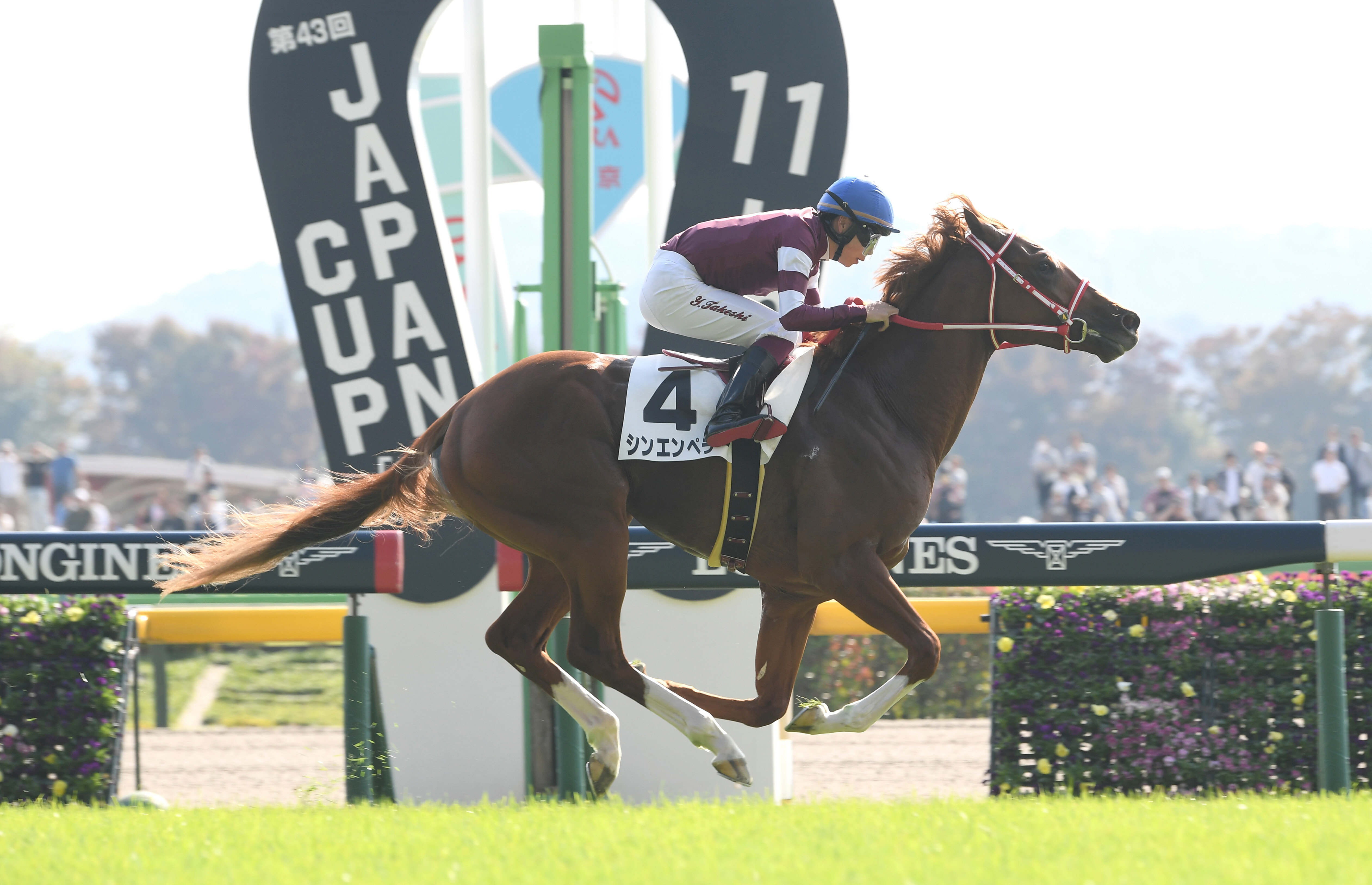 凱旋門賞の「過去20年の勝ち馬の血統」からわかる狙い目 日本馬シンエンペラーの相性は?