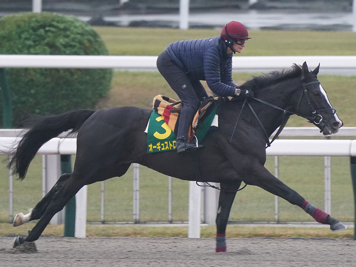 今回が引退レースとなるオーギュストロダン　photo by スポニチ/アフロ