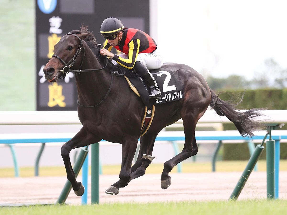前走の黄菊賞を制したミュージアムマイル　photo by Sankei Visual