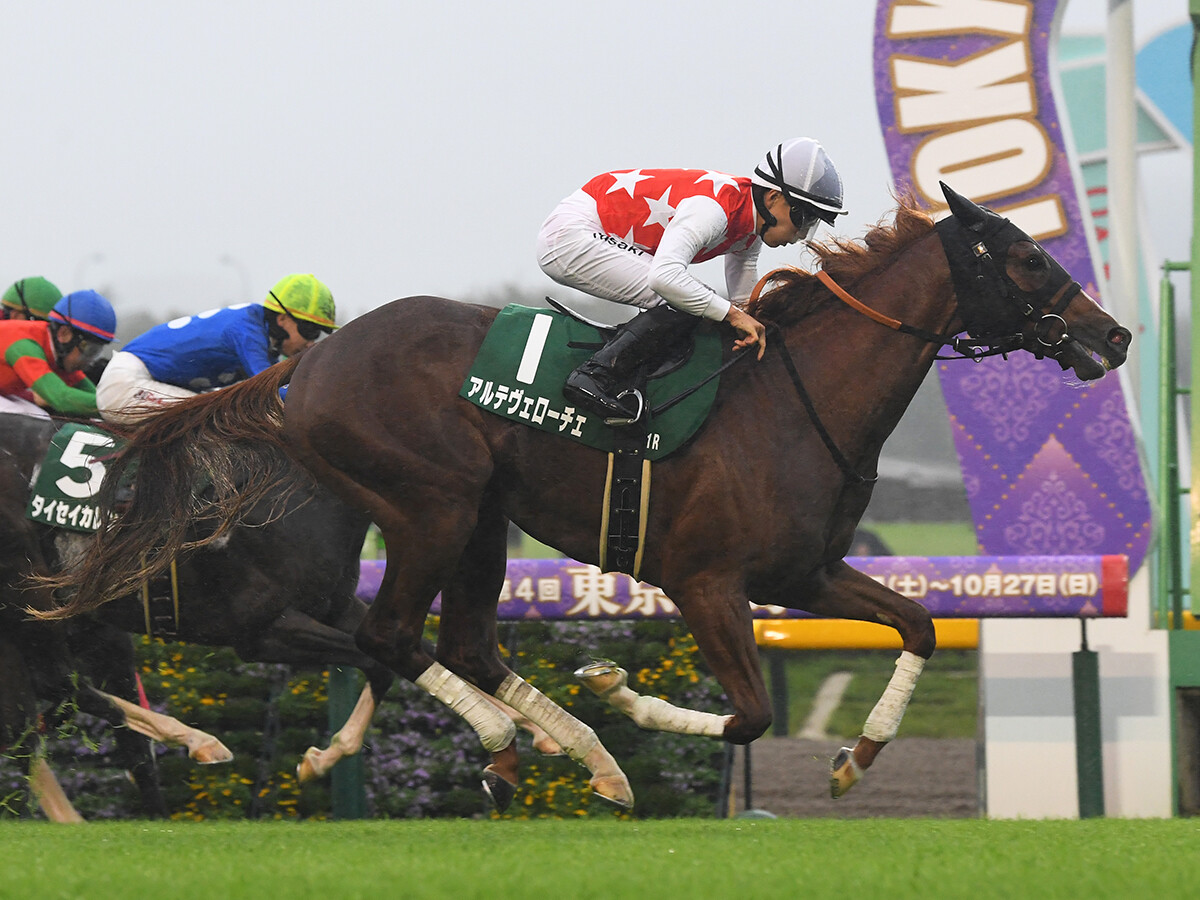 【競馬予想】朝日杯FS、ホープフルＳの行方は？　ハイレベルな「２歳牡馬ランキング」５位～３位