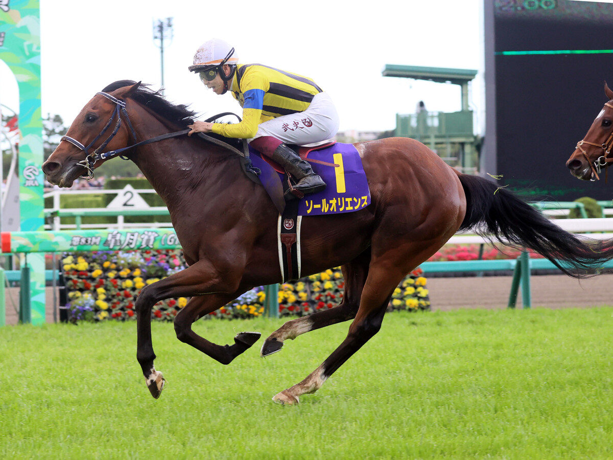 宝塚記念は、直近２年の勝ち馬と似た血統の４歳馬とレースとの相性がいい血筋の７歳馬に期待