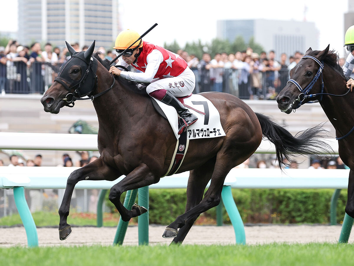 【競馬血統予想】京都開催の阪神ジュベナイルフィリーズは、「２歳戦の実績」を重視して２頭をピックアップ