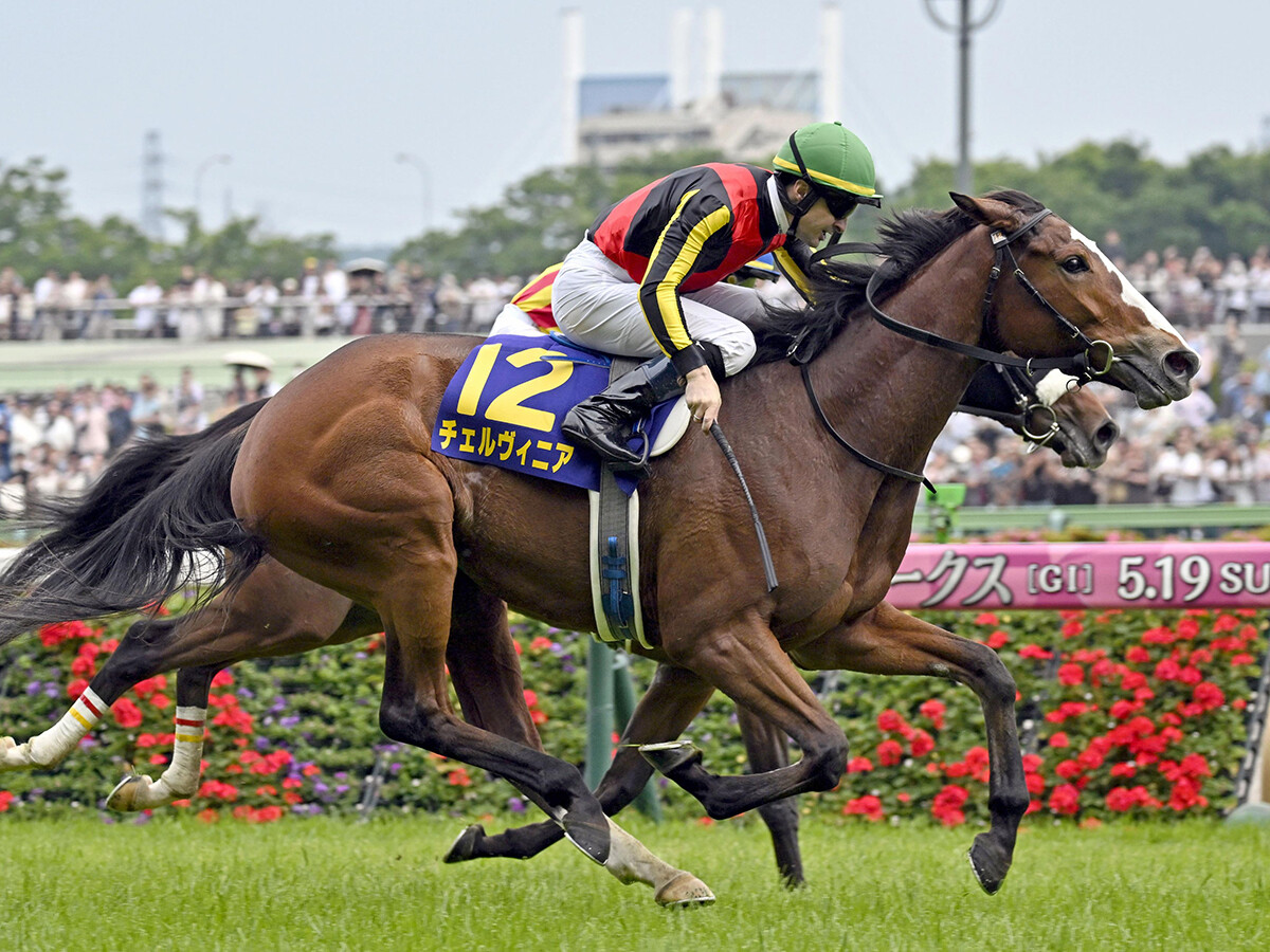 秋華賞は、桜花賞馬ステレンボッシュとオークス馬チェルヴィニアのどっちに分があるか？
