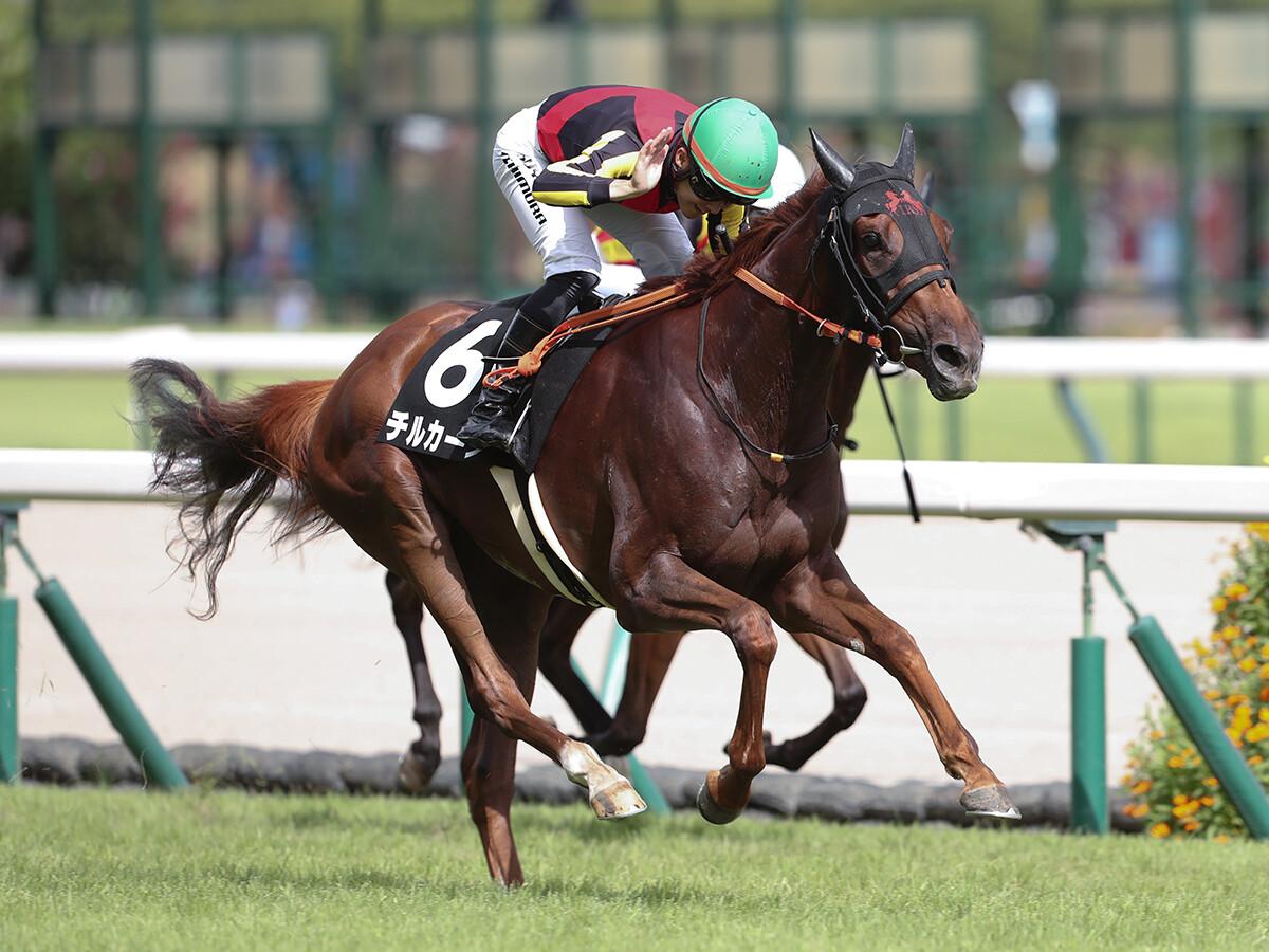 気鋭の種牡馬×名牝シーザリオ。サートゥルナーリアは、すごい評判！ | web Sportiva (スポルティーバ)