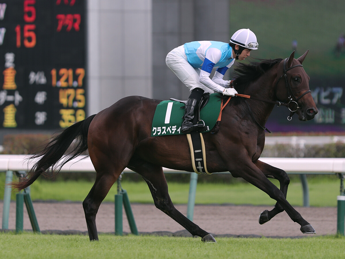 【競馬予想】朝日杯FSも京都開催で荒れる！ 穴党記者は超高額配当をもたらす伏兵２頭に白羽の矢
