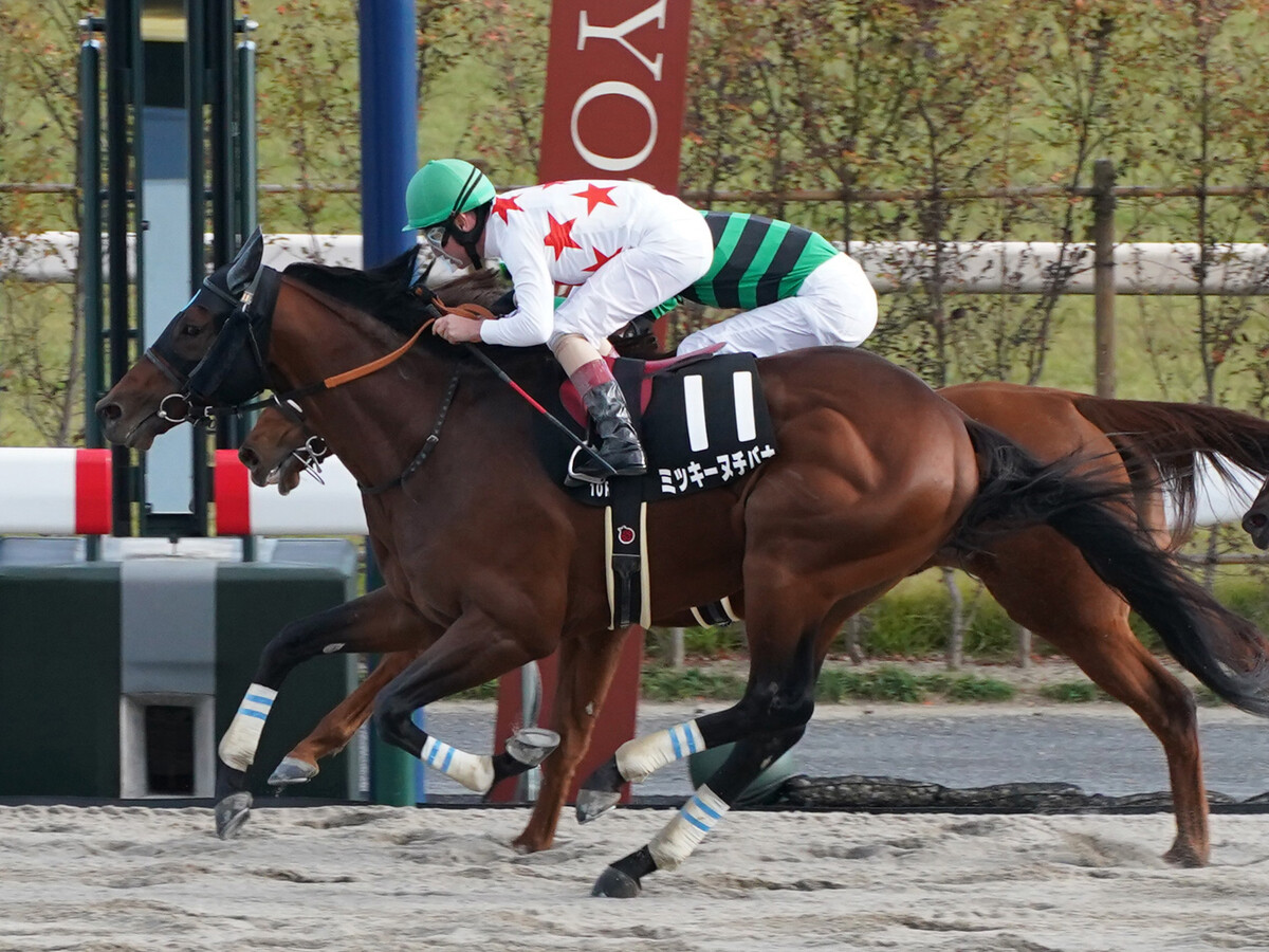 東海Sの注目は2頭の6歳馬 「京都ダート1800m」でのレースを血統で分析