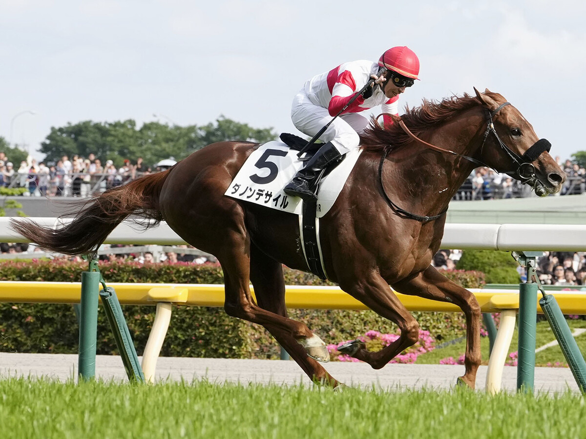 【競馬予想】菊花賞に異例のぶっつけローテで挑むダービー馬ダノンデサイル、二冠達成の確率は？