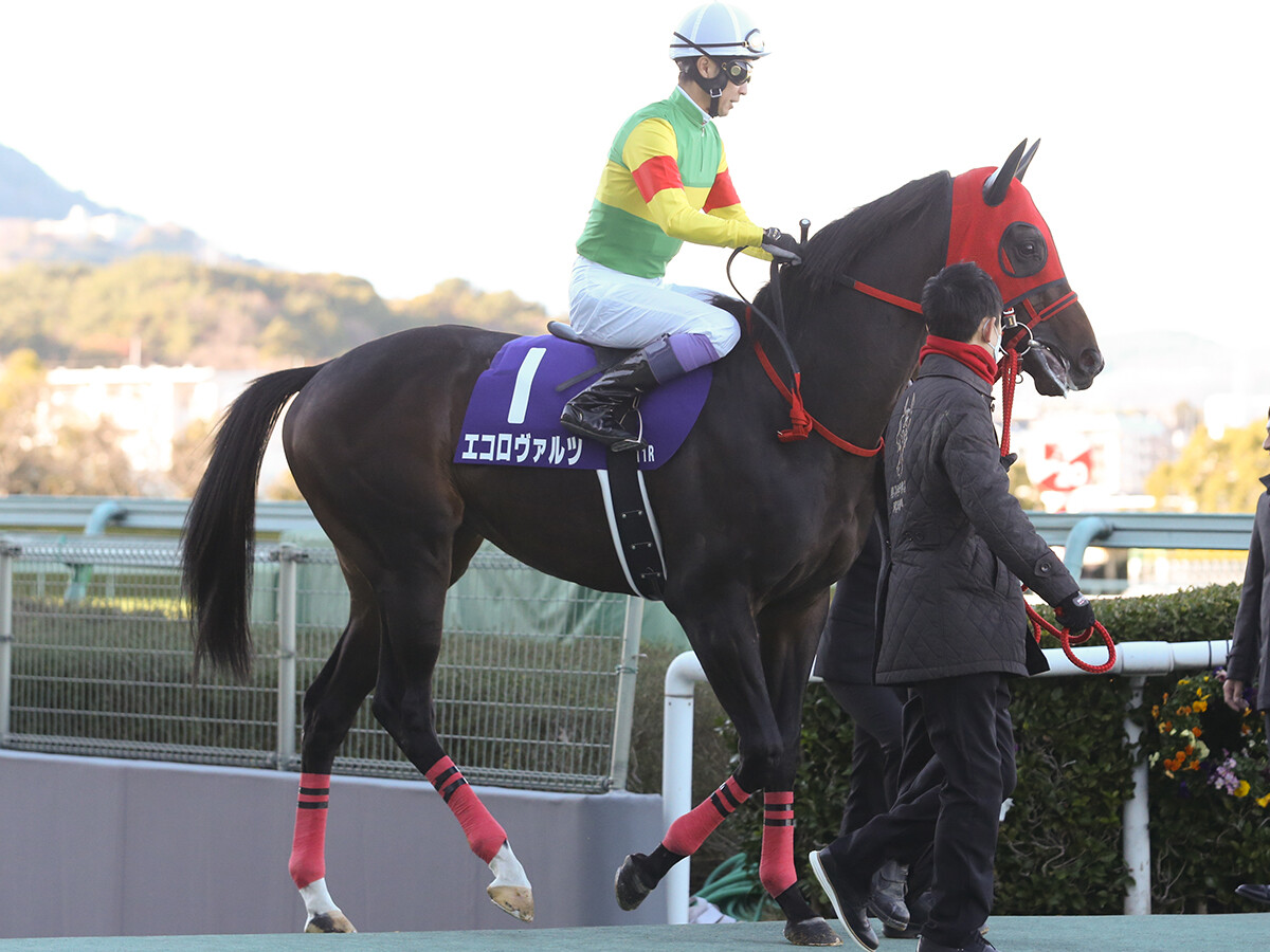 【競馬予想】菊花賞は「荒れる」穴党記者は異なる展開によって浮上する２頭の伏兵に注目