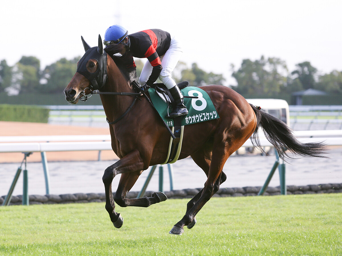 【競馬予想】天皇賞・秋は現役トップクラスが集結も波乱含み...浮上可能な穴馬は２頭