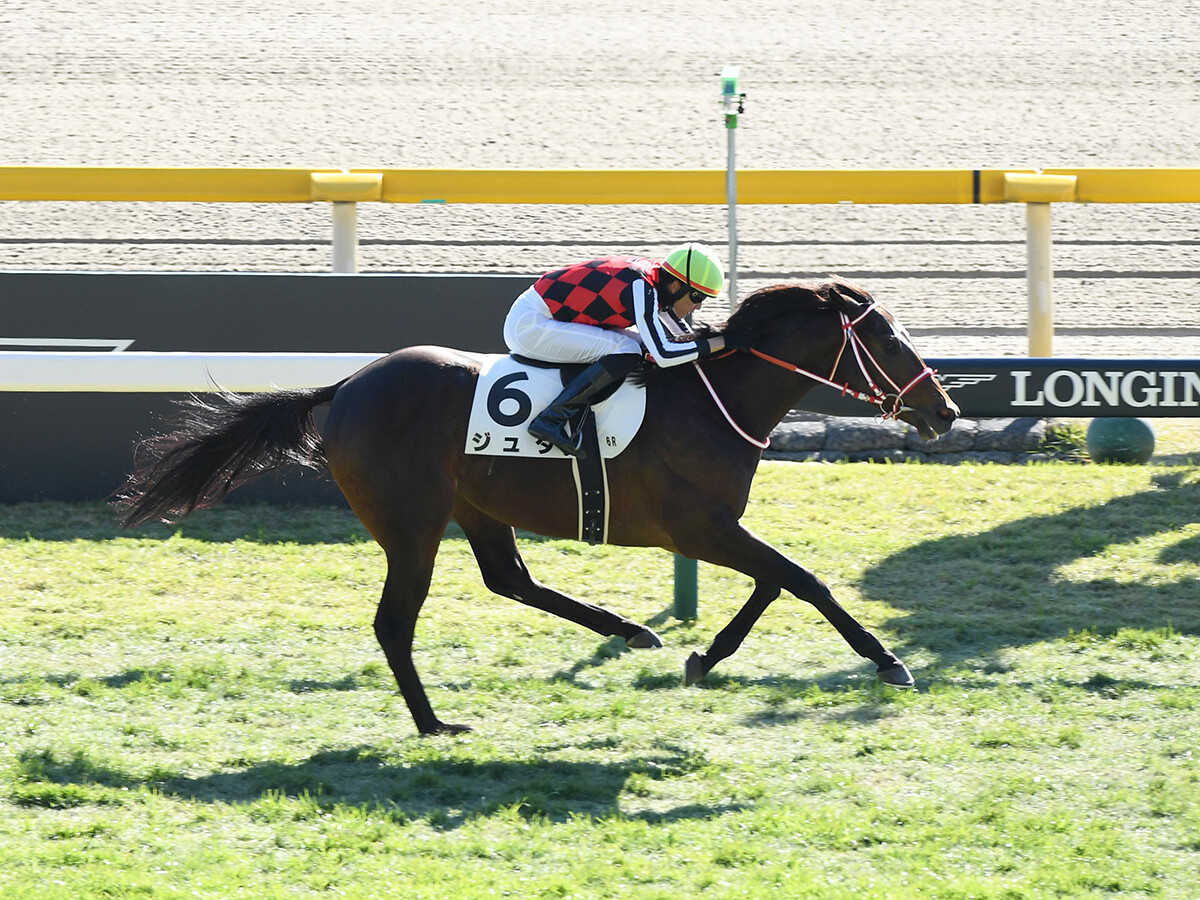 【競馬予想】ＧＩホープフルＳは200万馬券の再現か!?　穴党記者が高配当の使者に抜擢した伏兵２頭