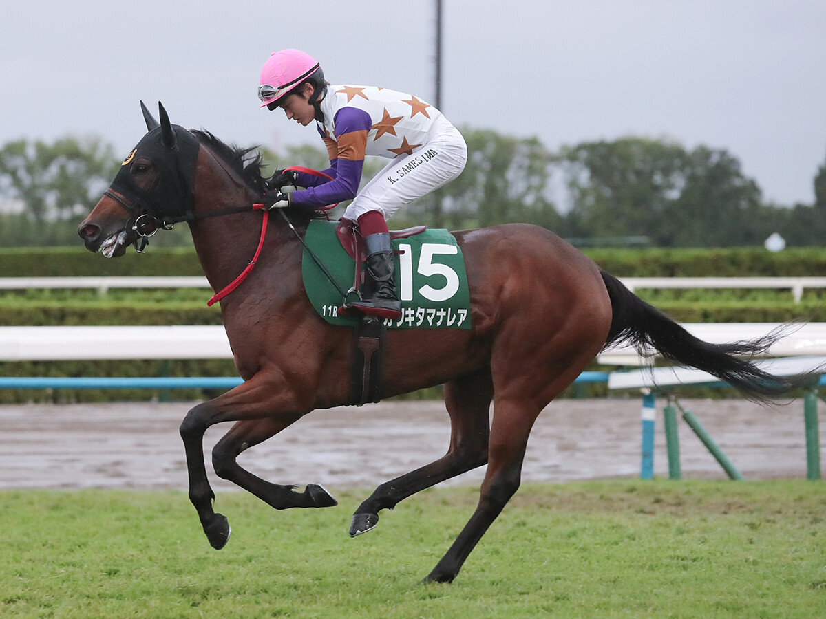 【競馬予想】阪神JFは例年とは違う舞台が波乱を引き起こす!? 穴党記者推奨の２頭で好配当を狙え