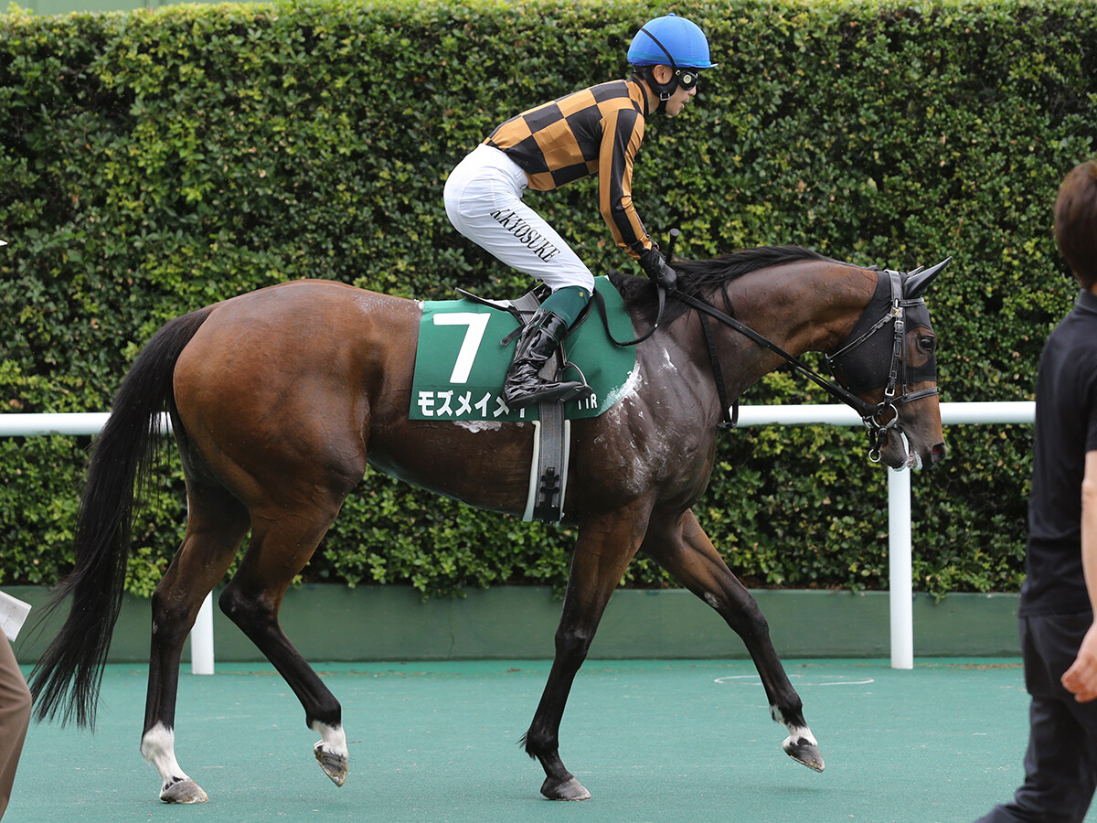 セントウルＳは馬場状態と展開がカギ 目が行くのは脚質転換に成功した牝馬から漂う勝負気配