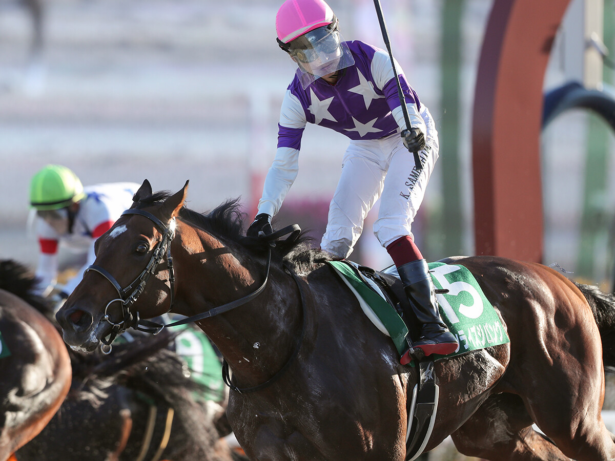 【競馬予想】チャンピオンズカップは激流必至　一発あるなら名手が手綱を取る後方待機組